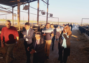 The UNDP visit to the Arab development soceity to review the projects funded by them and to define the future vision.