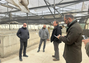 زيارة ميدانية لوزارة الزراعة ومنظمة اليونيدو ونقابة المهندسين الزراعيين لمتابعة تطوير مركز التميز والتدريب في المشروع الإنشائي العربي