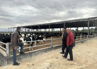 زيارة ميدانية لوزارة الزراعة ومنظمة اليونيدو ونقابة المهندسين الزراعيين لمتابعة تطوير مركز التميز والتدريب في المشروع الإنشائي العربي