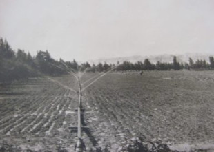 History of the Association