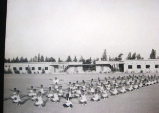 History of the Association