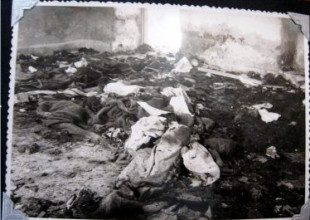 History of the Association