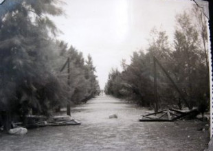 History of the Association