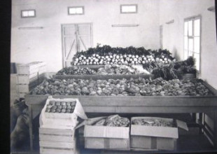 History of the Association