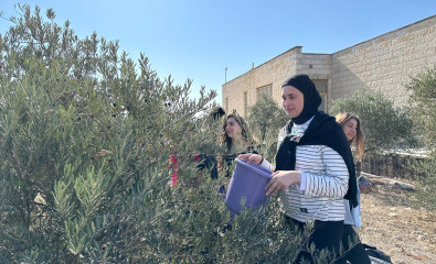 ينفذ المشروع الانشائي العربي أسبوعاً تطوعيا لتنظيف وتقليم وعزق الارض وازالة الاعشاب وزراعة الأشجار المثمرة في مدرسة دار اليتيم العربي في القدس.